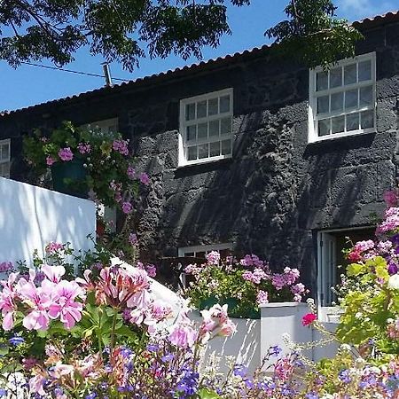 Casa do Zé - AL Manadas Exterior foto