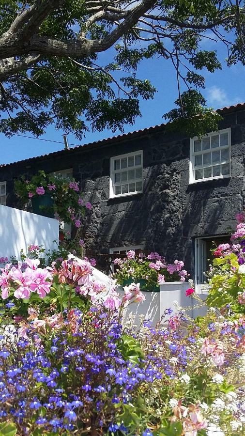 Casa do Zé - AL Manadas Exterior foto